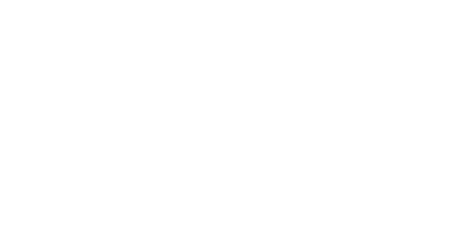 Fresko marketing - Wox development